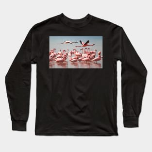 Lesser Flamingos Flypast #1 Long Sleeve T-Shirt